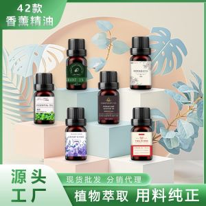 High Concentration Water Soluble Essential Oil for Diffuser Stone Indoor Air Freshener Long Lasting Fragrance Home Use