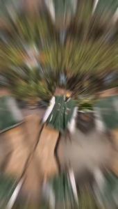 Jaket Varsity Cewek Cowok & Jaket Baseball Anak Model Terkini