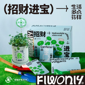 Quà Tặng Sinh Nhật Sáng Tạo DIY Thủ Công Cao Cấp Cho Bạn Thân Quà Tặng Phong Cách Tươi Mới Trang Trí Phòng Đồ Dùng Lễ Hội