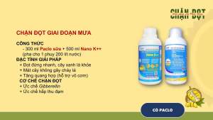 Giải pháp chặn đọt phân bón NANO K và PACLO SỮA của apn
