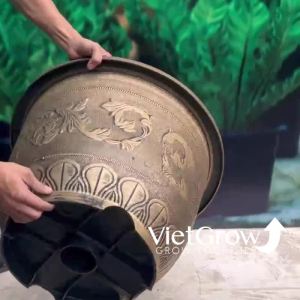 Chậu Nhựa Giả Đồng Hoa Văn Cổ Điển Kích Thước Miệng x Cao x Đáy: 60cm x 40cm x 34cm 59 Lít.