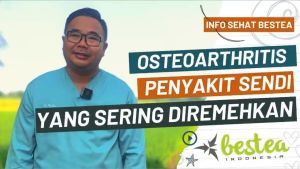 Besactive 60 Kapsul 2 pcs Sekaligus Plus Madu 1 Botol 100 mg