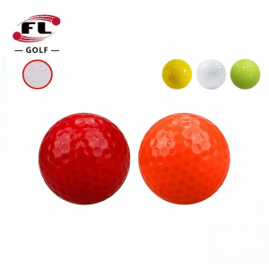FL | New Double Layer Practice Golf Solid Color Ball