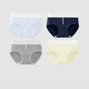 Baisina | Antibacterial Lace Seamless Cotton Womens Briefs