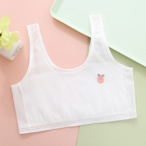 Development Period Girl Pure Cotton Intimates Summer Thin Mesh Waistcoat Primary School Junior High School Girl Bra 8-14 Years Old Breathable