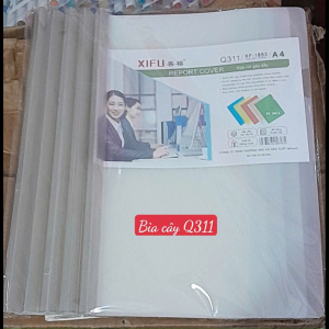 Combo 2 bìa cây trong dầy