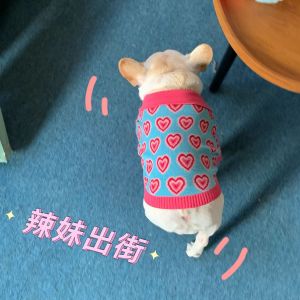 DY Loving Pet Korean Costume Dog Ladylike Lapel Sweater Poodle Breathable Cardigan Bling Pink Heart Elastic Cat Gentle Coat