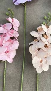 Bunga Anggrek Bulan Artificial & Dekorasi Wedding Premium