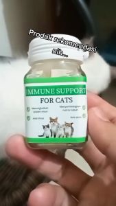 Holycatlabs Vitamin Imun Kucing Immune Support Anti Virus Meningkatkan Sistem Imun