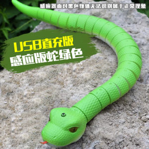 Remote Controlled Realistic Toy Snake Funny Prank Gift for Boys And Girls Stress Relief Creative Toy from Meng Dong Le Brand