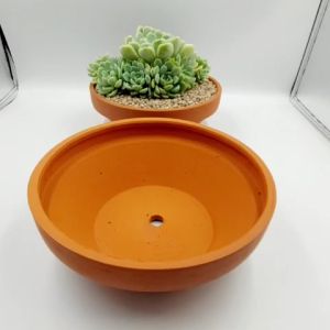 Chậu đất nung chậu sen đá - Thau 2075 miệng chậu 20cm chiều cao 7.5cm