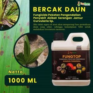 Obat Penyakit Tanaman: Solusi Melawan Jamur & Karat Daun