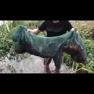 Foldable Nylon Fishing Net Crab Crayfish Lobster Catcher Live Trap Fish Net Eel Prawn Shrimp Bait 5M