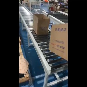 25x300mm Conveyor Roller Galvanized Carboon Steel Assembly Line Conveyor Roller Bike Roller