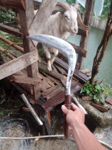 ALAT BERKEBUN PANGKAS RANTING DAN RUMPUT