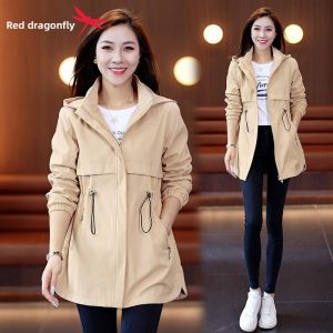 Reddragonfly | Beige Fashionable Womens Trench Coat Autumn Spring New