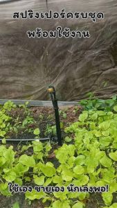 ลดล้างสต๊อก!! ไชโย สปริงเกอร์รดน้ำต้นไม้ ครบชุด พร้อมขาปักและวาล์ว สปริงเกอร์360องศา สปริงเกอร์ยกชุด ส่งด่วนภายใน 48 ชั่วโมง