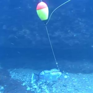 )USB Rechargeable Fishing Lure Multi Jointed Swimbait Wobbler Electric Robotic Bait Hard Lure Fake Fish Baits Fishing Accessorie