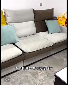 Multifunctional Cleaner Fabric Stain Remover (Waterless cleaning) 多功能布艺清洁剂