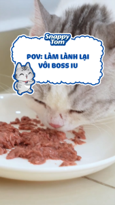 combo 12 gói - 24 gói - 48 gói súp pate Snappy tom 85gr dành cho mèo - T3 PETS SHOP