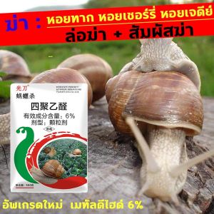 ล่อฆ่า สัมผัสฆ่ ล้างหอย การกำจัดหอยทาก อัพเกรด 100% เมทัดไฮด์ 6% หนึ่งในการป้องกันหอยทาก ไม่เกิดซ้ำ เพียงแค่การซื้อขายสำหรับการล้างหอย ยาหอย หอยศัตรูพืช
