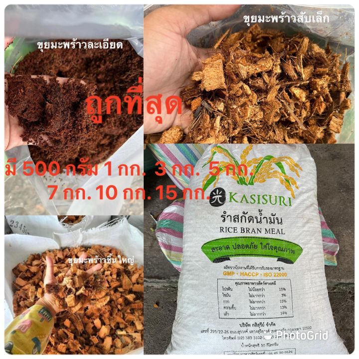 5 อันดับ ขุยมะพร้าวและวัสดุปลูกยอดนิยม ยี่ห้อไหนดี? อัปเดตปี 2025