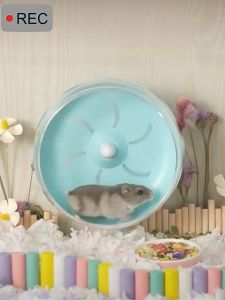 Wheel silent 21cm dành cho hamster bear . sóc nhím hamster... - T3 PETS SHOP
