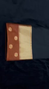 Elegant Jacquard Work  Saree with Contrast Border and Blouse_5056