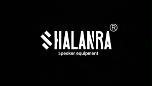 SHALANRA HEM6400 UHF Mono Dual Wireless in-Ear Monitor System Metal Wireless IEM for Band Studio 6 Bodypack
