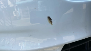 CARPRO Tri X 500ml. กำจัดผงเหล็กและทาร์ไปได้อย่างรวดเร็วในเวลาเดียว