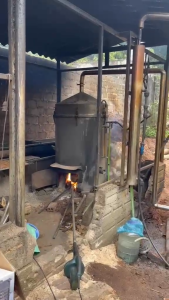 (Nguyên Chất) Tinh Dầu Ngọc Am Đỏ Hà Giang Giá Tận Xưởng....