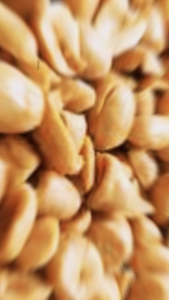 HJ Yuli - Kacang Bawang Goreng 200GR