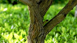 Night Light USB Chargeable Bedside Lamp Silicone Tap Light Kids Gift Breastfeeding Lamp