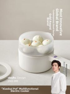 [China Plug Adapter Needed] Multifunctional Compact Electric Cooker
