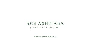 Ace Ashitaba Tea (24 sachets) | Health Drink Chalcone Immunity Anti-Aging Sleep [EXP 01/2027]