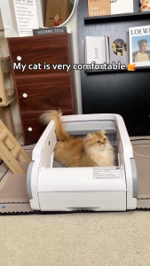 Pokpaw Automatic Cat Litter Box Large Capacity Open Top Self Cleaning Smart Cat Toilet with APP Control for Multiple Cats