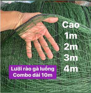 10 mét Lưới rào gà vịt làm hàng rào- khổ cao 1m 2m 3m 4m có luồng dây làm giàn leo