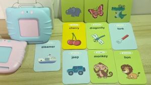 244 Flash Cards: Portable Educational Toys & Early Education Devices