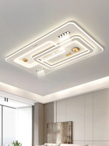 OSIZA | Modern Elegant Ceiling Light for Whole House