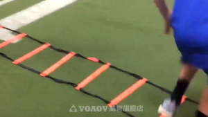 Agility Speed Ladder Drills training Tangga Kelincahan Ketangkasan 8m Latihan Atlit Tangkas 039-3