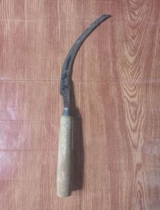 arit padi arit ilalang arit bergerigi