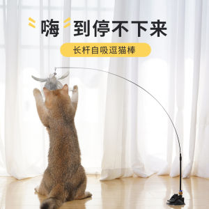 ของเล่นแมว ไม้กระตุ้นแมวแบบอัตโนมัติ ปีกนก ดูดซับผนัง พร้อมกระดูกสันหลัง ทนต่อยุ่งเหยิง สำหรับแมววัยเตาะแตะ