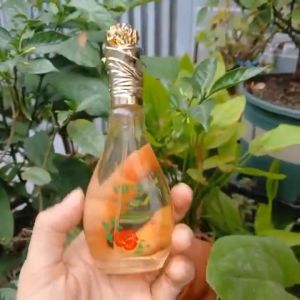 Nước Hoa Công Ty Vipa Paris Hương Phấn Mùi Nhẹ Dịu Không Nồng Lưu Hương Lâu 45ml