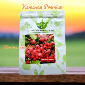 (KEMASAN PREMIUM) BIJI/BENIH HAWTHRON BERRY MERAH