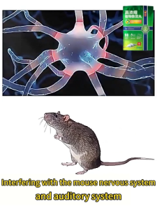 Fast and Effective Rat Repellent Pills Powerful Insect Repeller Balls Rat Repellent Moth Balls Powerful Rat Killer Poison Rat Repellent Powerful Insect Repeller Balls Fast and Effective Rat Repellent Pills
