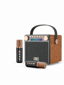 DAOUBO | Wireless Home Karaoke Microphone Speaker All-in-One System