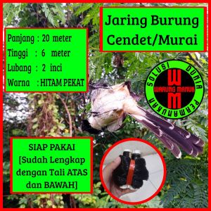 Jaring burung murai 25x6 meter jaring murai siap pakai jaring burung murai 25m jaring burung tengkek jaring burung cucak ijo jaring lovebird jaring burung kenari jaring burung cerukcuk jaring trucuk jaring burung trucuk siap pakai jaring 25 meter