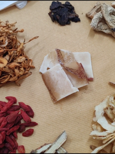 海螺虫草花汤  Whelk Sliced Cordyceps Flower Soup