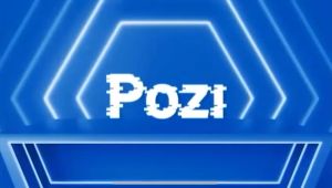 ORIGINAL POZI - LCD Touchscreen Fullset Oppo A54 4G / A55 4G / CPH2239 / CPH2325