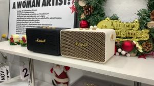 ( HÀNG MỚI XỊN ) Loa Bluetooth M10  Âm Thanh True Stereophonic Vỏ Bọc Bằng Da Xung Quanh Loa Chống Nước Chuẩn IPX7 Pin Bền